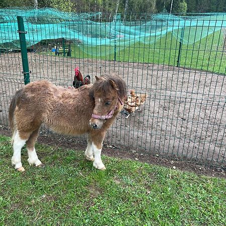 Willa Maee Farm Rõuge Zewnętrze zdjęcie