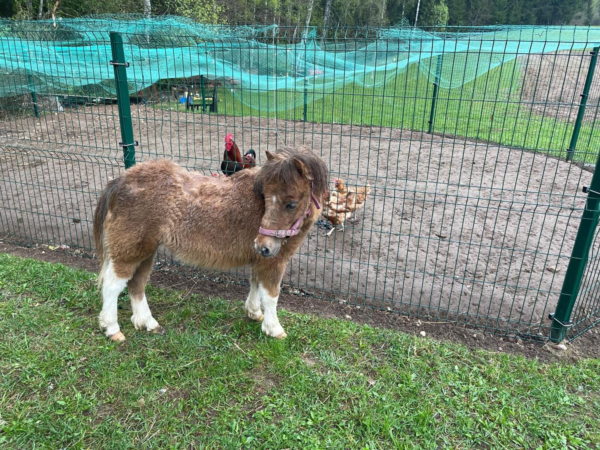 Willa Maee Farm Rõuge Zewnętrze zdjęcie