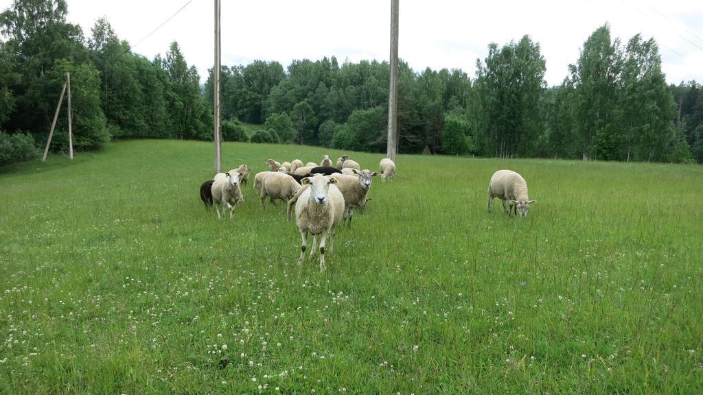 Willa Maee Farm Rõuge Zewnętrze zdjęcie