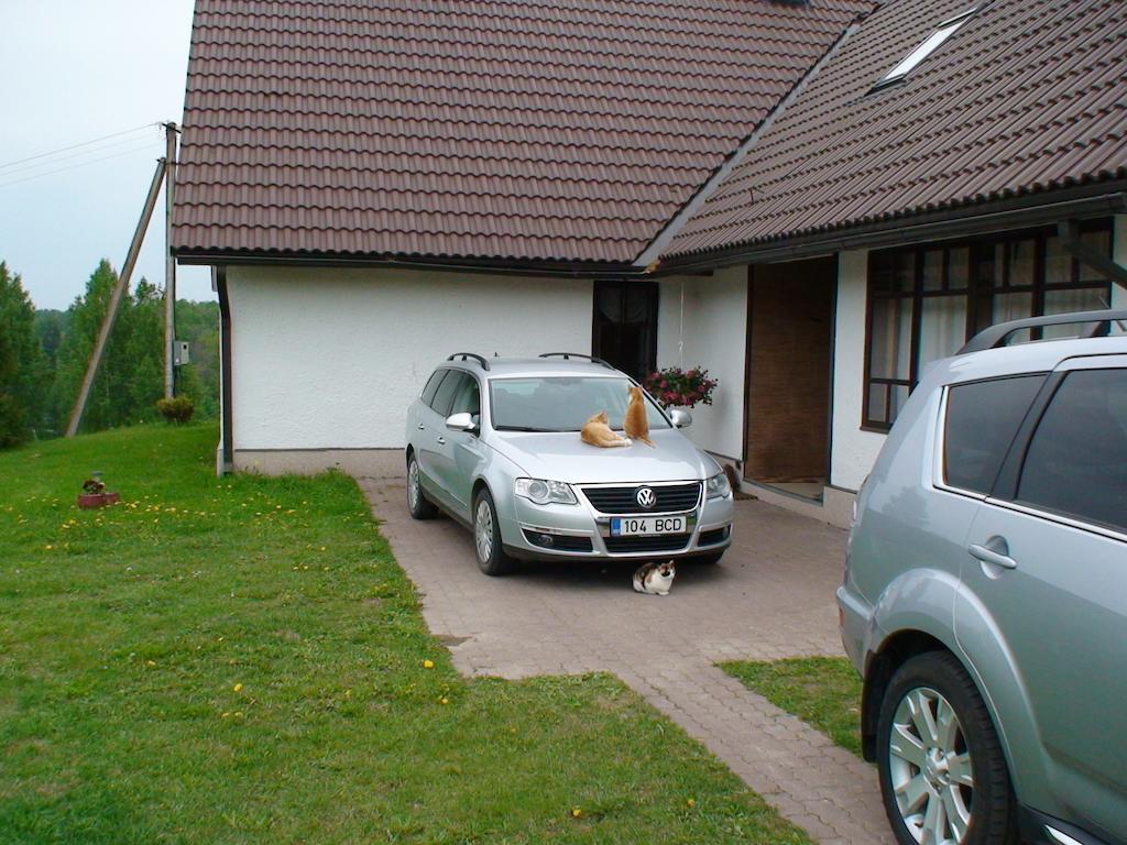 Willa Maee Farm Rõuge Zewnętrze zdjęcie